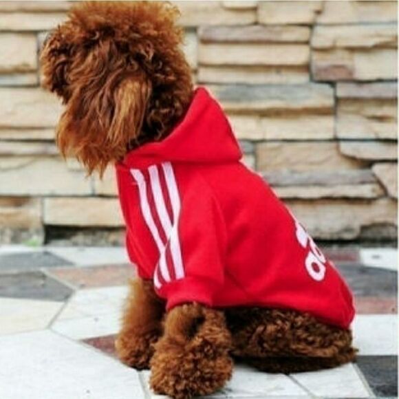 Pet hoodie sweater.   - Picture 3 of 6